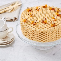 Cake &quot;Honey cake with prunes&quot;